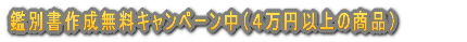 �ӕʏ����� 